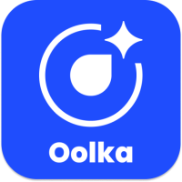 Oolka AI: Check Credit Score