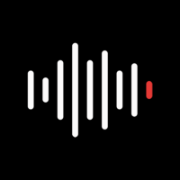 Voice Recorder - Voice Notes