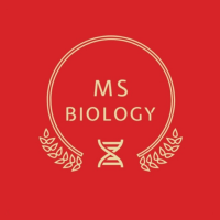 Manish Singh Classes