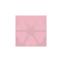 PINK DANDELION BOUTIQUE
