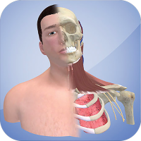 3D Cervical Dystonia