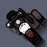 Cat Rider
