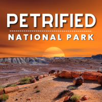 Petrified Forest National Park