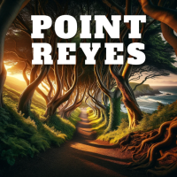 Point Reyes National Seashore