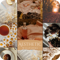 Cute Aesthetic Wallpapers