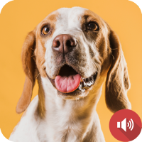 Barking Dog Sounds