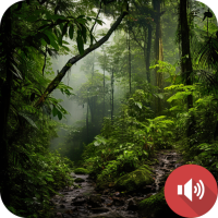 Jungle Sounds