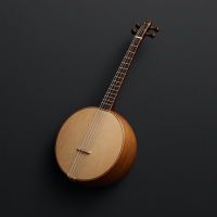 Tanbur Sim