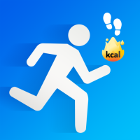 Pedometer Step Counter Tracker