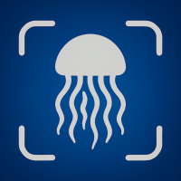 Jellyfish Identifier