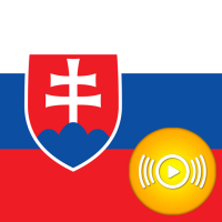 SK Radio Pro
