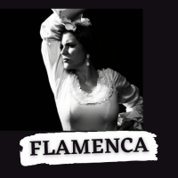 Música Flamenca App Canciones