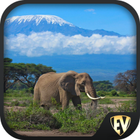 Tanzania Travel & Explore, Off