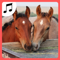 Sounds of farm animals.