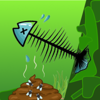 Clean ASMR: Fish Tank