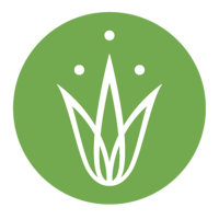 Grassroots Yoga - Ventura, Ca