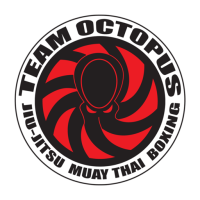 Team Octopus