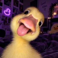 Funny Wallpaper: Cute & Silly
