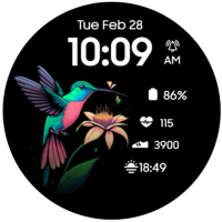 Hummingbird