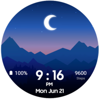 Time Scene8 Digital Watch Face