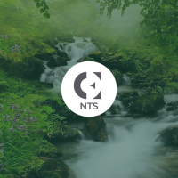 NTS London 2025