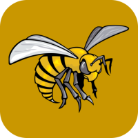 Alabama State Hornets