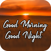 GIF Good Morning & Good Night
