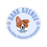 Bark Avenue Omaha