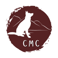 Catskill Mountain Canine