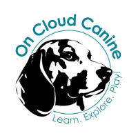 On Cloud Canine