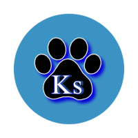 Ks Canine