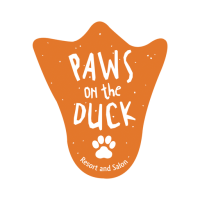 Paws on the Duck