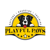 Playful Paws