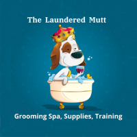 The Laundered Mutt
