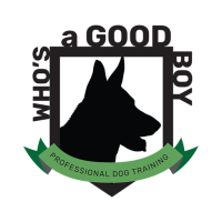 Who's a Good Boy Dog Training