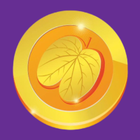 Sanskruti Jewellers And Sons