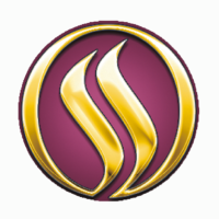 SS Gold Unit Of SS Chains