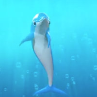 Dolphin Friend in Spanish