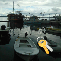 Gallery Widget Unlocker