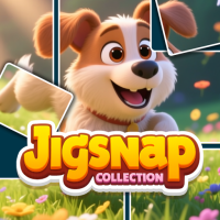 Jigsnap Collections