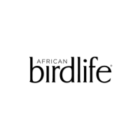 African Birdlife
