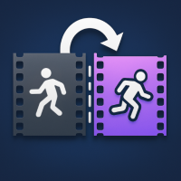 Flip Video FX