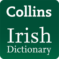 Pocket Irish Dictionary