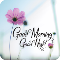Good Morning Good Night Gif