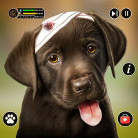 My Animal Shelter Pet Care Sim
