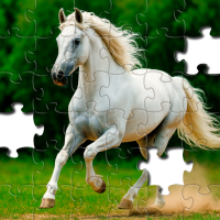 Jigsaw Puzzles - Jigsawgram