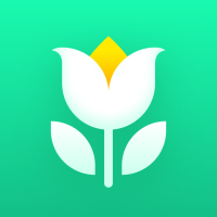 Plant Parent - Guida alla Cura