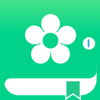 Holo green theme