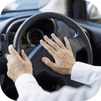 Car Horn Sounds