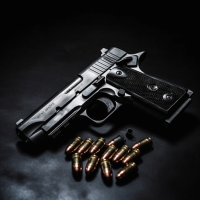 Guns Sounds